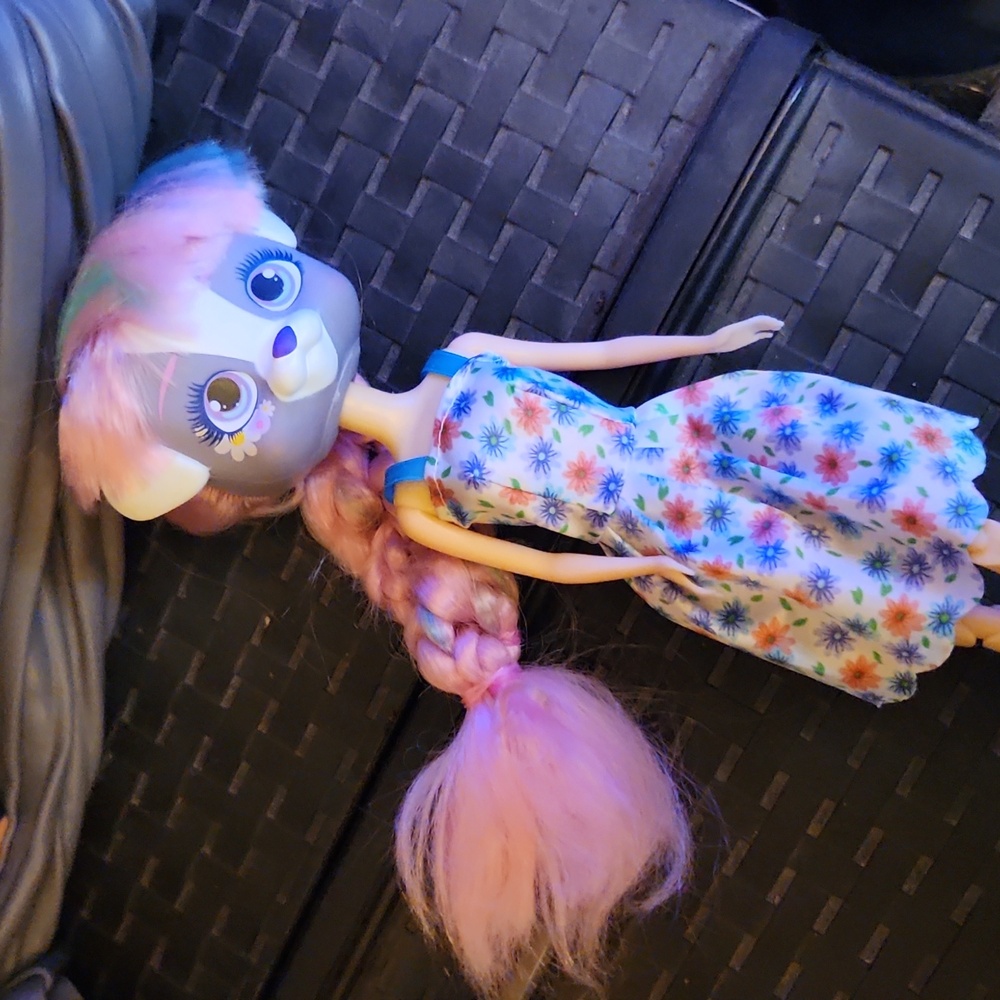 Popstar pup doll